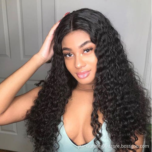 HD Lace Full Virgin Brazilian Human Hair Wigs Transparent Lace Front Human Hair Wigs for Black Women